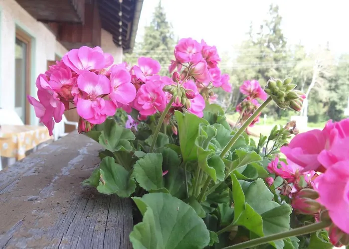 Beim Haxenwirt Hotel 2*