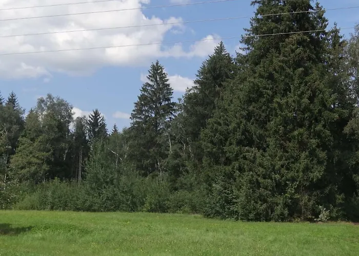 מלון Beim Haxenwirt Immenstadt im Allgäu